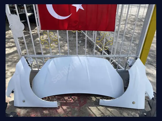 Ford Tourneo KAPUT çıkma yedek parça