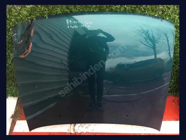 Opel Vectra KAPUT çıkma yedek parça
