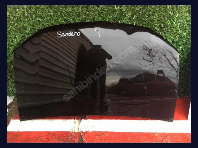 Dacia Sandero KAPUT çıkma yedek parça